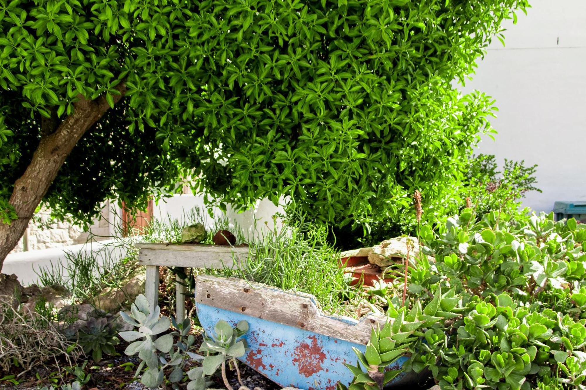 Hocus Pocus Cottage Paternoster Ngoại thất bức ảnh